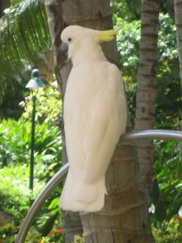20060120103423   Hotel Bird